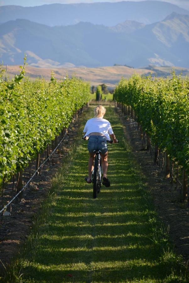 Ddog Vineyard & Bnb Renwick Buitenkant foto