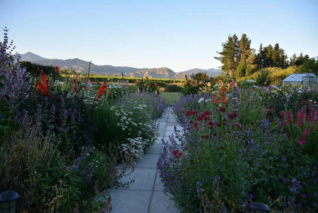 Ddog Vineyard & Bnb Renwick Buitenkant foto