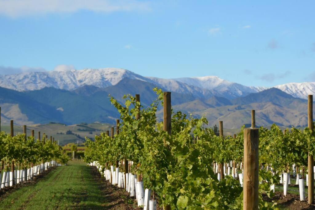 Ddog Vineyard & Bnb Renwick Buitenkant foto