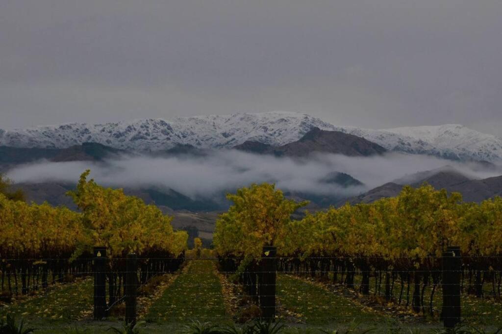 Ddog Vineyard & Bnb Renwick Buitenkant foto