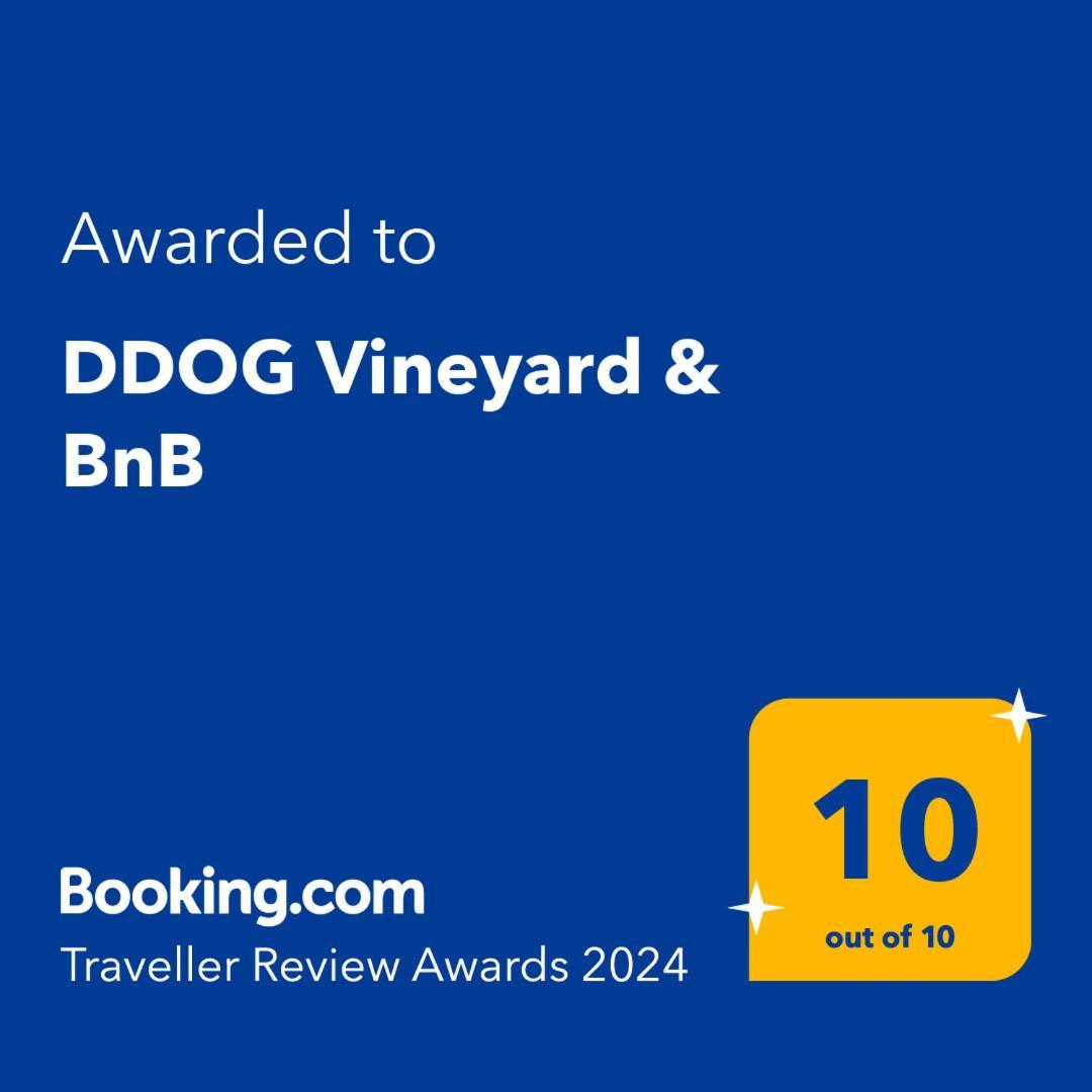 Ddog Vineyard & Bnb Renwick Buitenkant foto