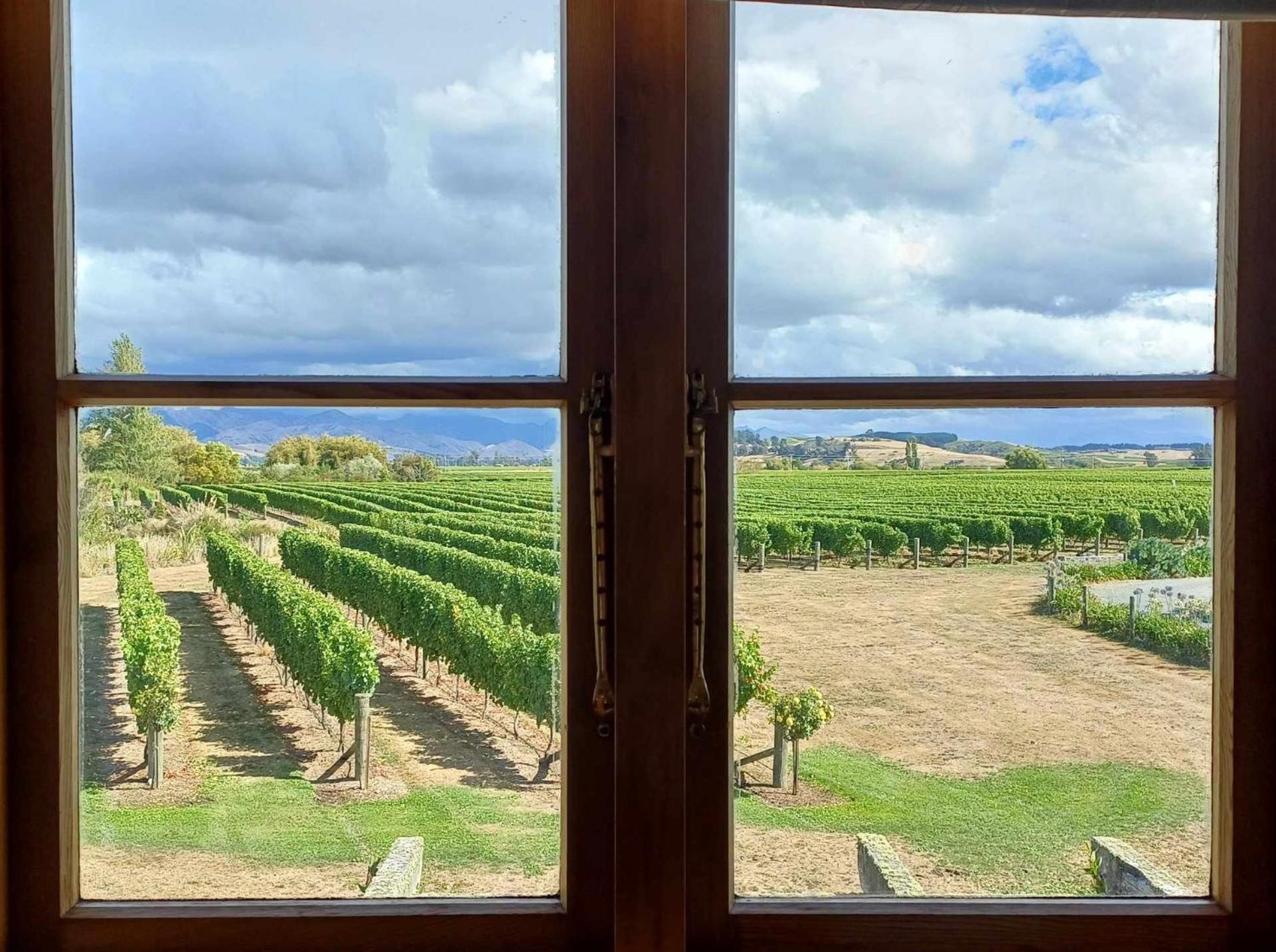 Ddog Vineyard & Bnb Renwick Buitenkant foto