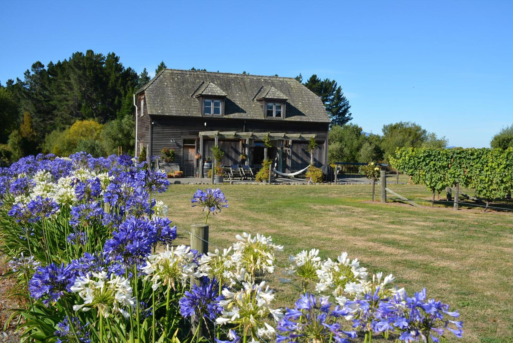 Ddog Vineyard & Bnb Renwick Buitenkant foto